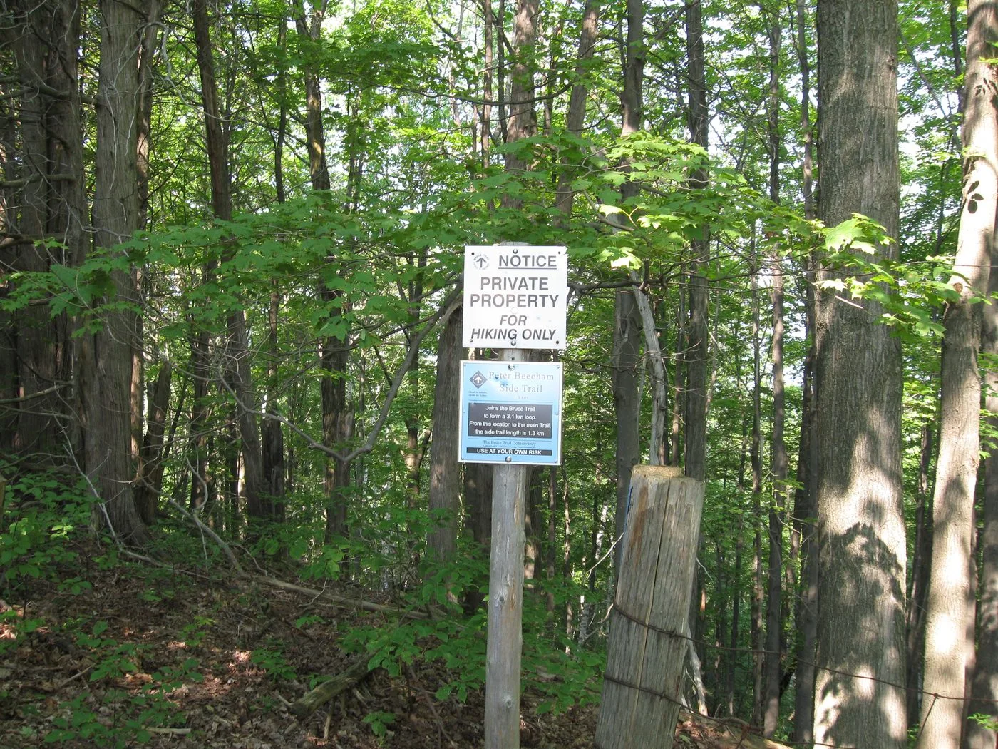 Bruce Trail in Mono